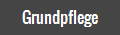 Grundpflege